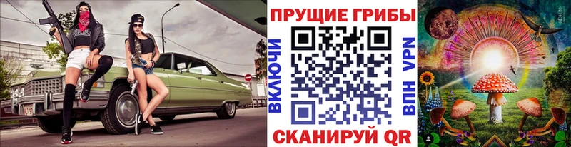 Галлюциногенные грибы Magic Shrooms  где можно купить   mega сайт  Липецк 